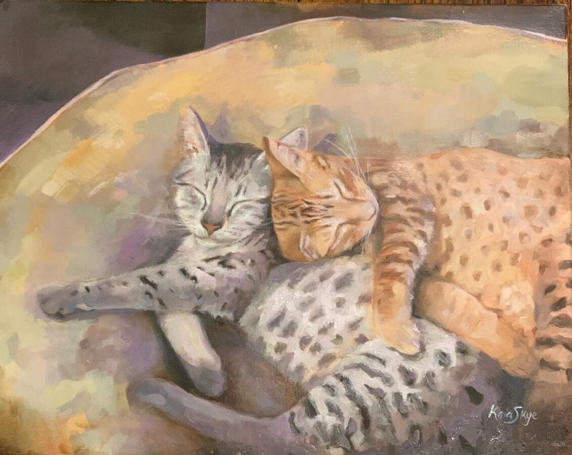 KitKat and Beamer