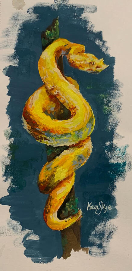 Untitled
